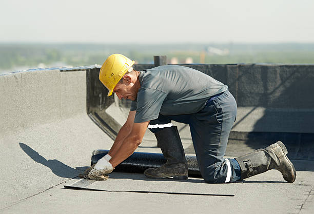 Best Commercial Insulation in Kenworth, IL
