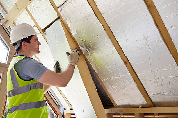 Best Cellulose Insulation in Kenworth, IL